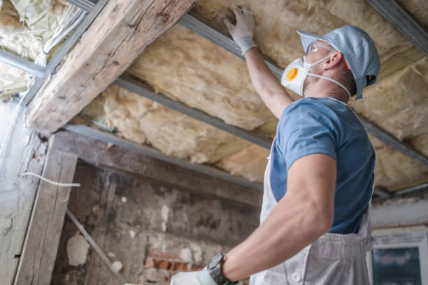 Best Insulation Maintenance and Repair in Sigourney, IA
