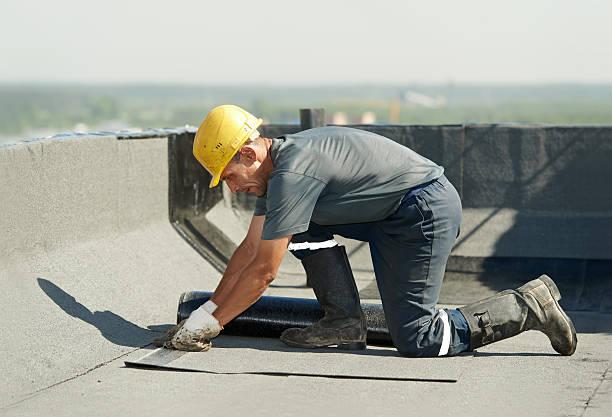 Best Insulation Maintenance and Repair in Sigourney, IA